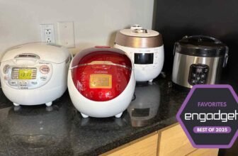 The very best rice cooker for 2025