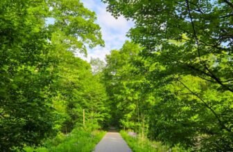 The Little Issues Publication #471 – Life, laughter, and plenty of nice meals!