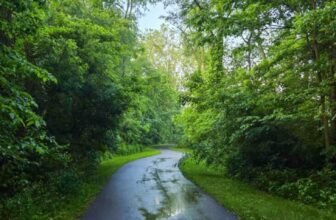 The Little Issues E-newsletter #472 – Life, laughter, and plenty of nice meals!