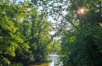 The Little Issues E-newsletter #473 – Life, laughter, and plenty of nice meals!