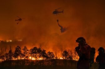 Alarming Circumstances and Federal Chaos Might Spell a Disastrous California Hearth Season