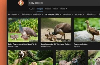 DuckDuckGo now lets you filter out AI photos in search outcomes