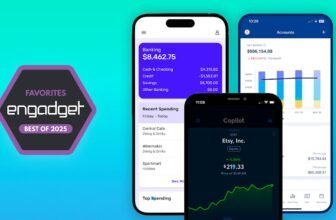 The most effective Mint alternate options