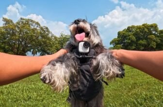 The Tiniest Motion Digital camera Is Now Barely Bigger, and So A lot Higher for It