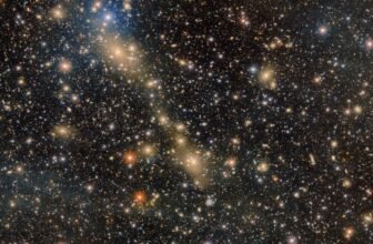 Deepest-Ever Discipline Picture of Large Galaxy Cluster Is a Brutal Reminder of Your Cosmic Insignificance