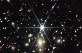 This Well-known Star Is a Complete Fraud, Astronomers Say