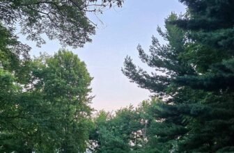 The Little Issues Publication #481 – Life, laughter, and plenty of nice meals!