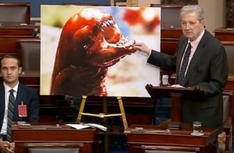 Senator Says Radioactive Shrimp Will Flip You Into the Alien From ‘Alien’