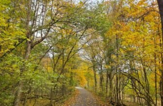 The Little Issues Publication #492 – Life, laughter, and many nice meals!