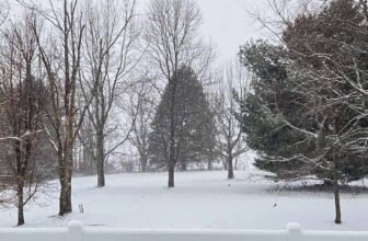 The Little Issues Publication #499 – Life, laughter, and plenty of nice meals!